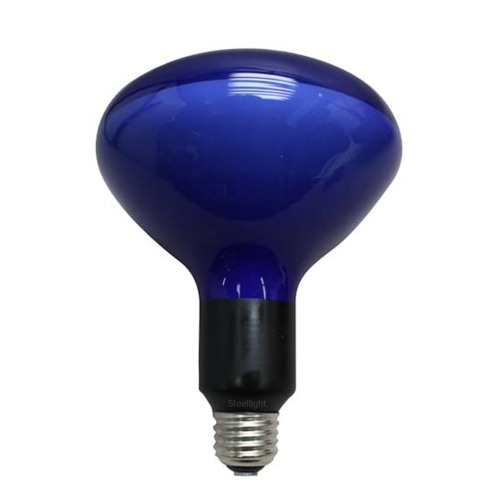 정품 이와사키 포토 할로겐 램프 100V/500W JDD (5900K/E26/E27) 데이라이트 백색광